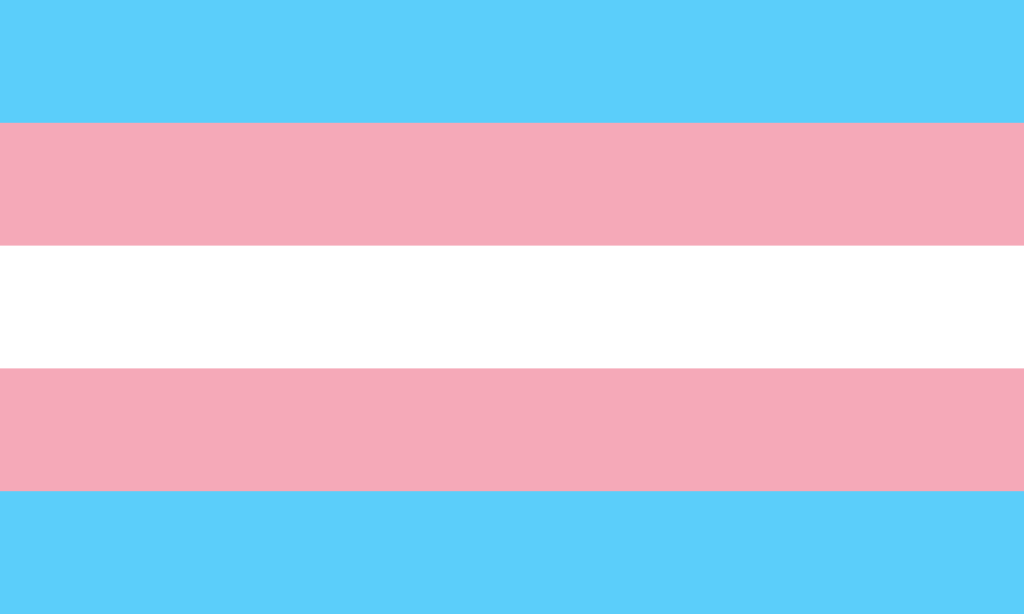 transgender pride flag